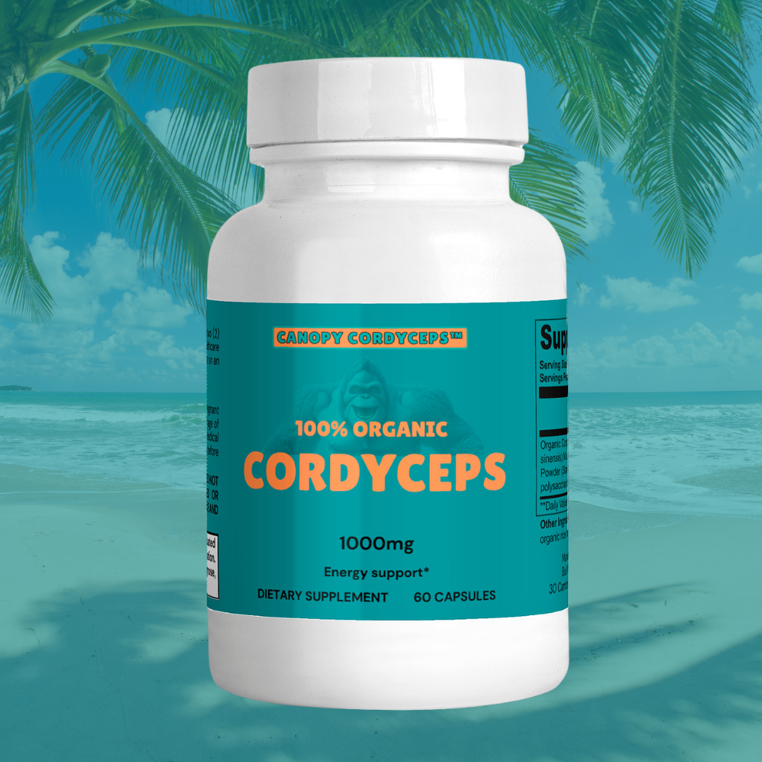 Cordyceps Supplement For Energy